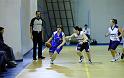 Basket 252053